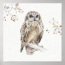 Buscar búho blanco posters Marrón