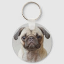 Buscar pug llaveros Lindo