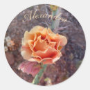 Buscar sonora pegatinas Flor