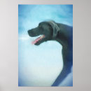 Buscar perros grandes posters Para mascotas