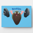 Buscar hongos placas fotograbadas Para todos