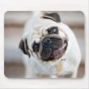Buscar pug dog alfombrillas de raton Cute