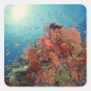 Buscar sealife pegatinas Animal