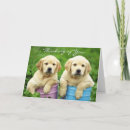 Buscar recue el perro tarjetas General y unisex