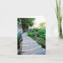 Buscar acceso tarjetas Fotografía