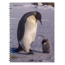 Buscar antártico libretas Pingüinos