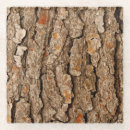 Buscar corteza de árbol posavasos Madera
