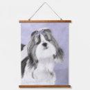 Buscar shih tzu arte Perro