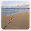 Buscar mares el día pegatinas Playa