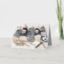 Buscar guapo tarjetas Para todos