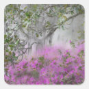 Buscar magno pegatinas Flor