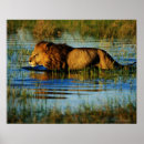 Buscar okavango posters Horizontal