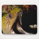 Buscar bostezo alfombrillas de raton Primer