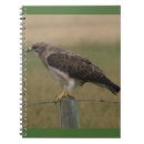 Buscar halcón libretas Halcones