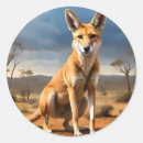 Buscar dingo pegatinas Perro