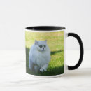 Buscar gato persa blanco tazas Gatito