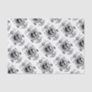 Buscar cuerpo papel de seda Blanco y negro