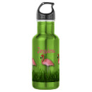 Buscar flamenco agua botellas Pájaro