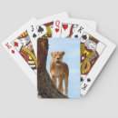 Buscar animales africanos barajas de cartas Conservación