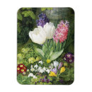 Buscar tulips imanes Primavera