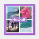 Buscar viaje de hawaii imanes Oahu