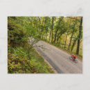 Buscar haney postales Campo