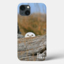 Buscar búho ipad1 fundas Pájaro