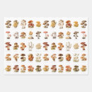 Buscar comestible papel de regalo Hongos