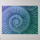 Buscar amonita posters Verde