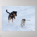 Buscar rottweiler arte Pug
