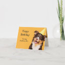 Buscar tienda de animales tarjetas Humor