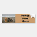 Buscar doxie pegatinas parachoque Perritos
