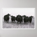 Buscar cuadrillas posters General y unisex