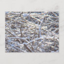 Buscar ramas nevadas postales Naturaleza