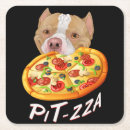 Buscar mi pitbull cristaleria bar General y unisex