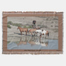 Buscar mustango casa hogar Caballos salvajes