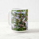 Buscar jazmín tazas Jasmine