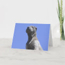 Buscar shar pei chino tarjetas Perrito