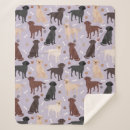 Buscar labrador mantas Laboratorio de chocolate