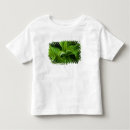 Buscar opinión del primer ropa Plantas