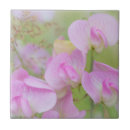 Buscar macro azulejos Acercar