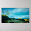 Buscar garzas grises posters Vida silvestre