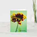 Buscar margaritas amarillas tarjetas Floral