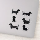 Buscar perro negro grande postales Contenido generativo