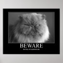 Buscar enojado posters Gatito