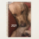 Buscar cachorro agendas Divertido