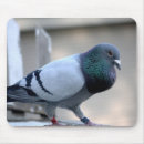 Buscar paloma blanca alfombrillas de raton Palomas