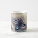 Buscar gato del ragdoll tazas Azul