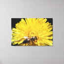 Buscar diente de león lienzos Naturaleza