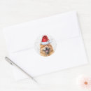 Buscar chow dog postales Animales
